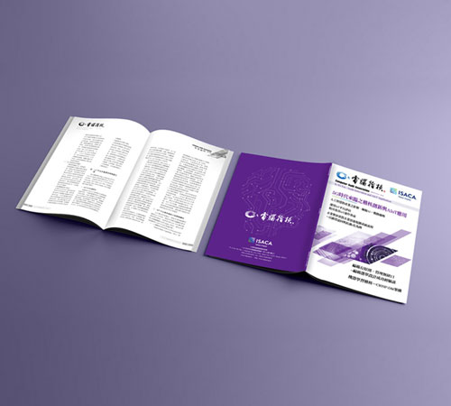 電腦稽核客製化期刊、手冊